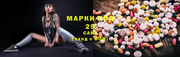крисы Коряжма