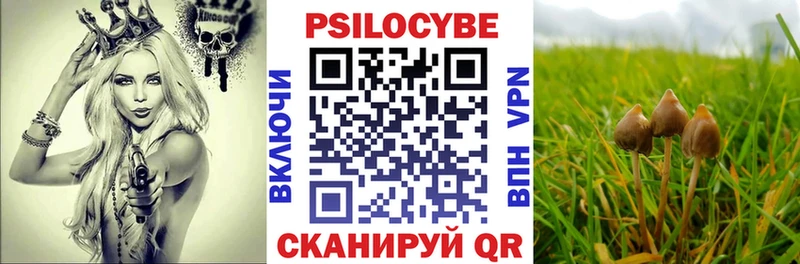 Галлюциногенные грибы прущие грибы  Купить  Арсеньев 