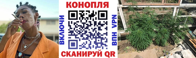 Конопля Amnesia  Купить где  Арсеньев 